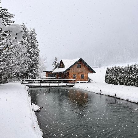 Chalet Am Teich Familie Gaenser Villa Feistritz am Kammersberg Eksteriør bilde