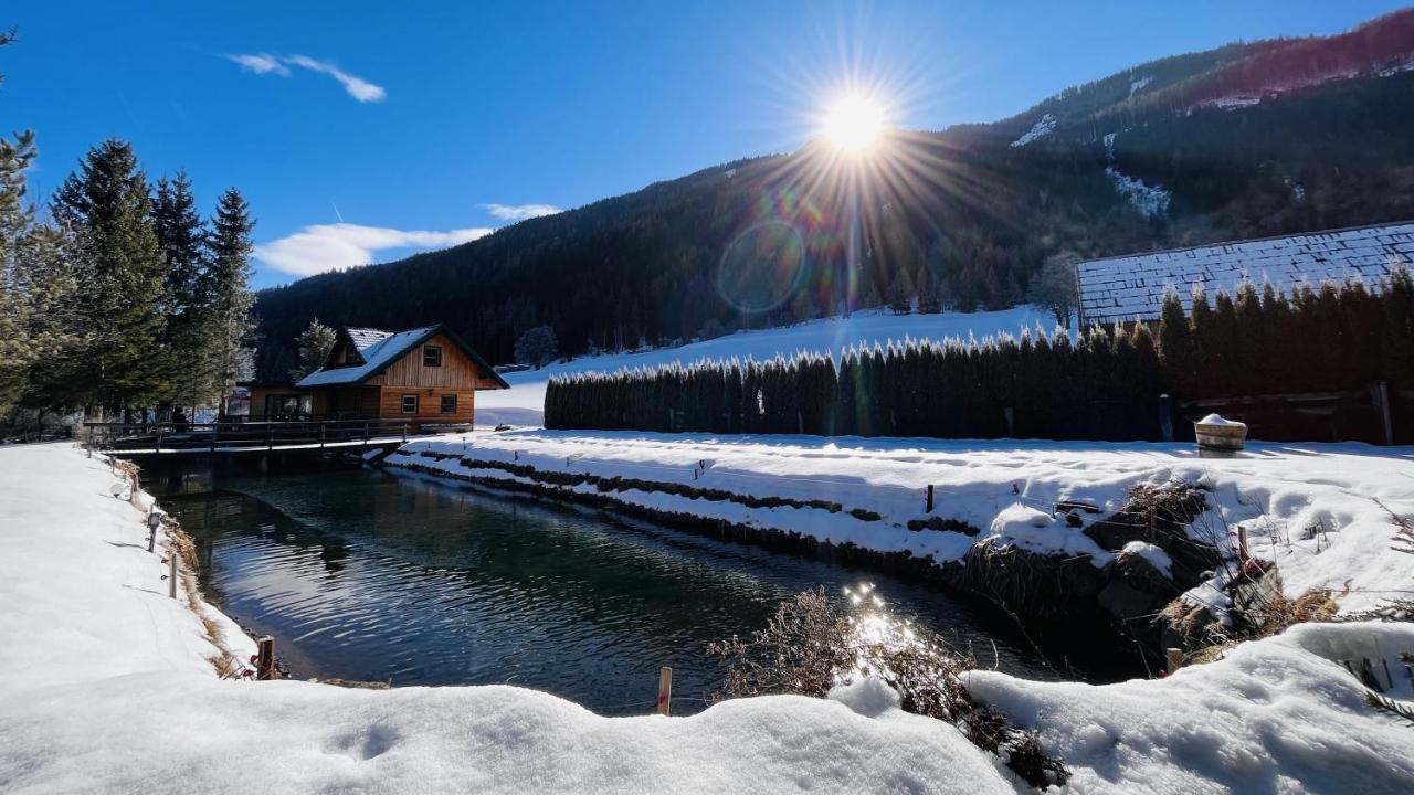 Chalet Am Teich Familie Gaenser Villa Feistritz am Kammersberg Eksteriør bilde