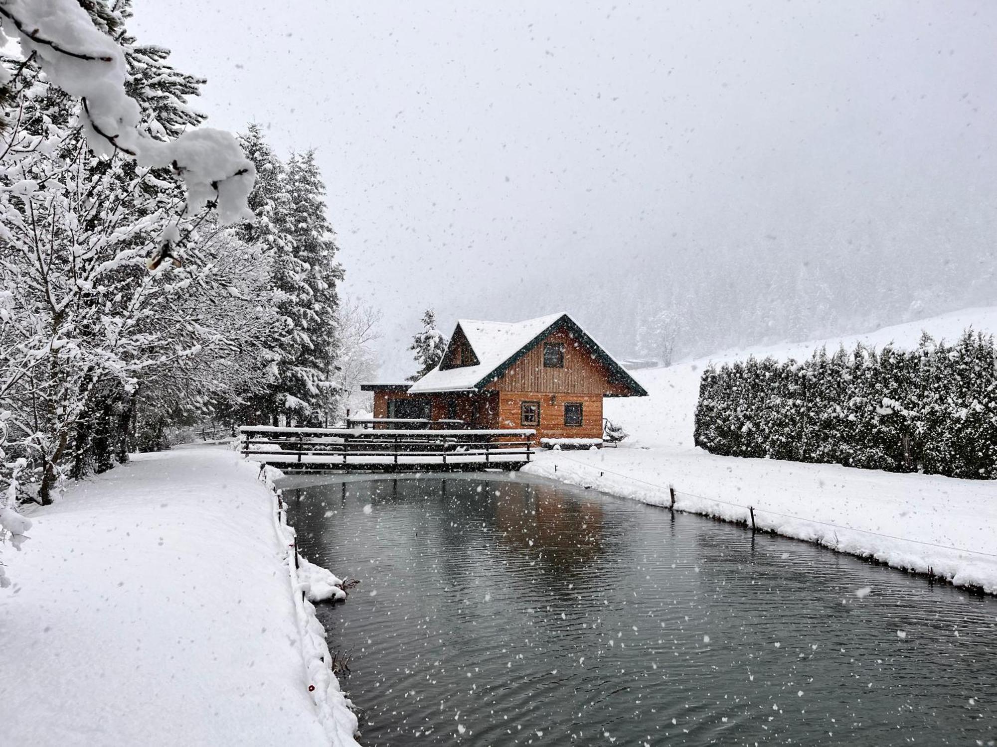 Chalet Am Teich Familie Gaenser Villa Feistritz am Kammersberg Eksteriør bilde