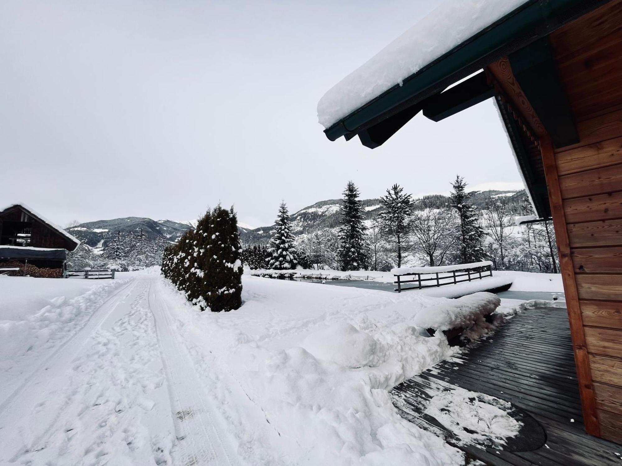 Chalet Am Teich Familie Gaenser Villa Feistritz am Kammersberg Eksteriør bilde